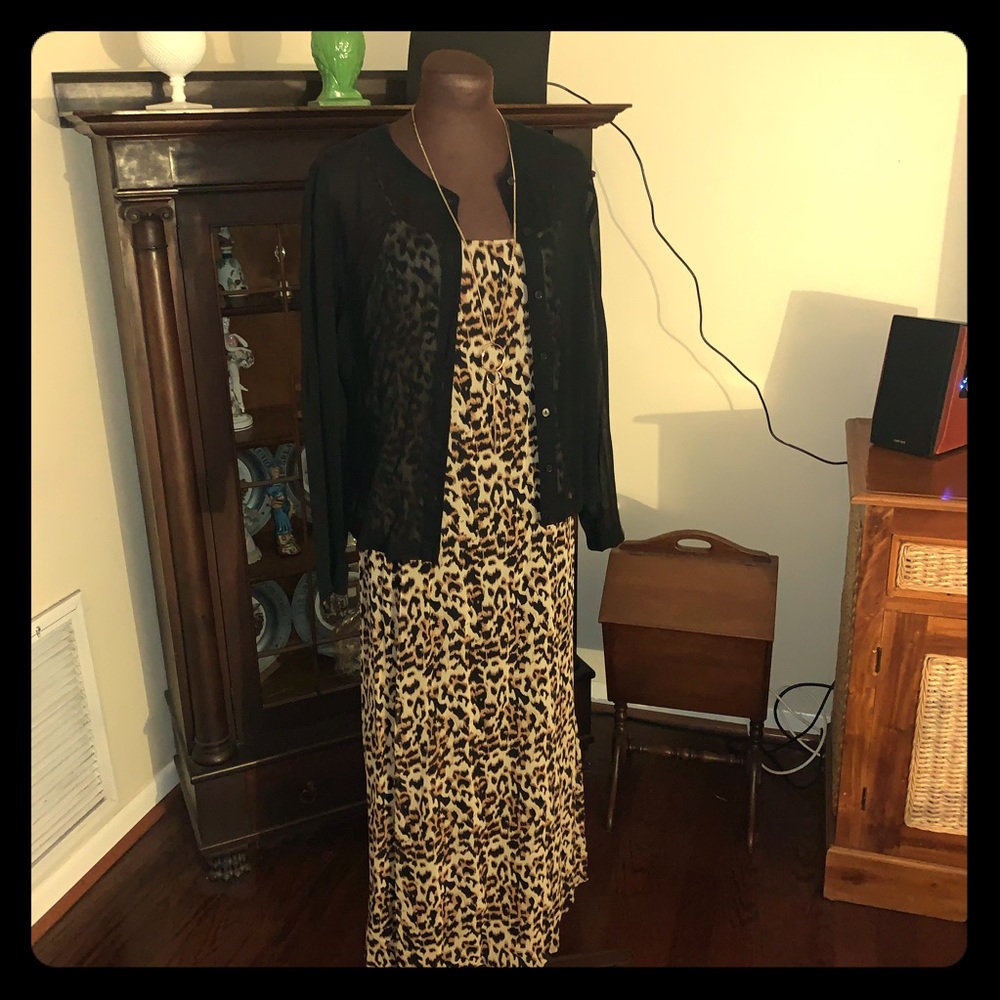 Animal print shift dress